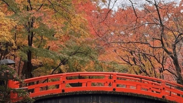 あゆみ会 絵画教室 【横浜教室】